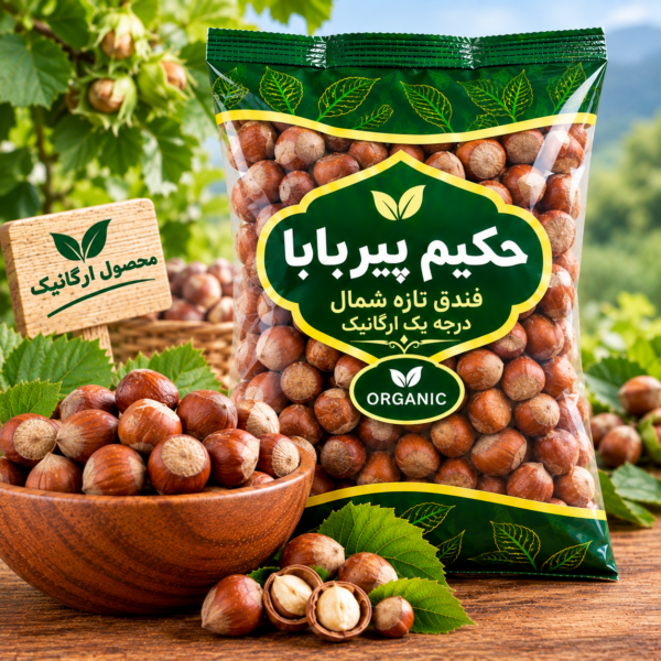 فندق تازه شمال درجه یک