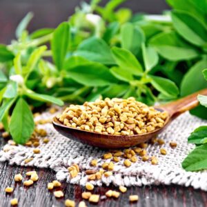 داروهای گیاهی و گیاهان دارویی