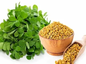 داروهای گیاهی و گیاهان دارویی
