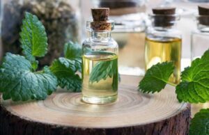 طرزتهیه عرقیات گیاهی