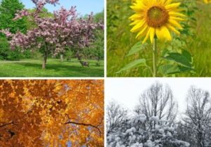 نکاتی برای مراقبت ازپوست درفصل‌های مختلف