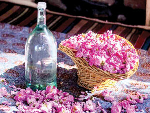 گلاب مرغوب چطور بدست می آید